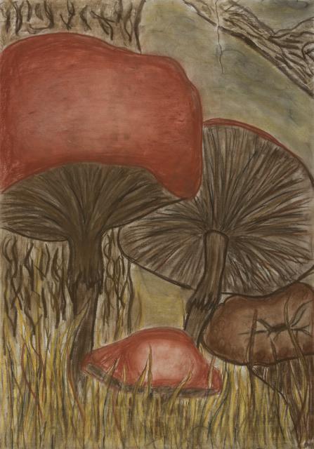 Pflanzen: Pilze