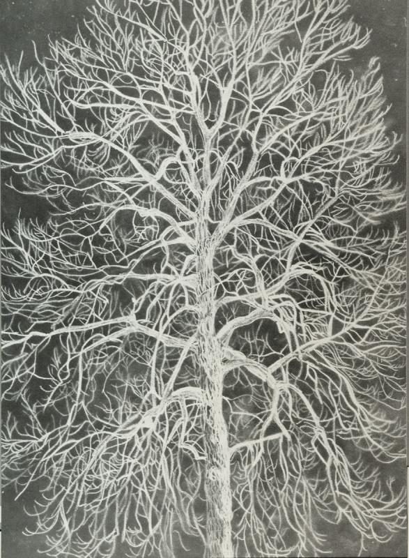 1984 Architektur + Natur