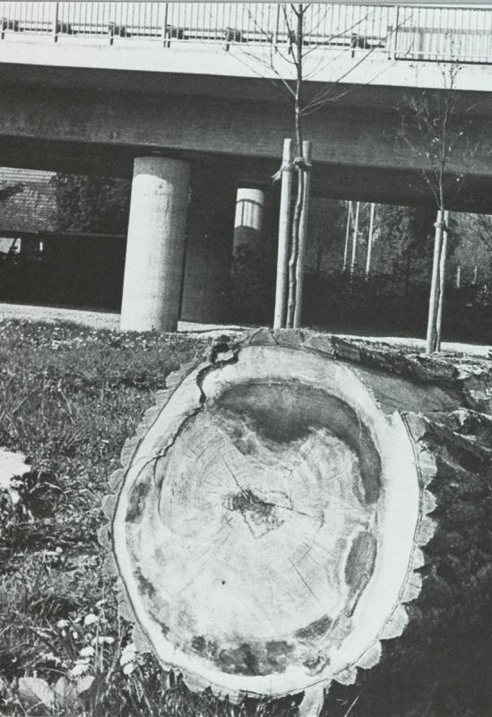 1984 Architektur + Natur