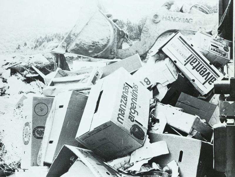 1984 Architektur + Natur