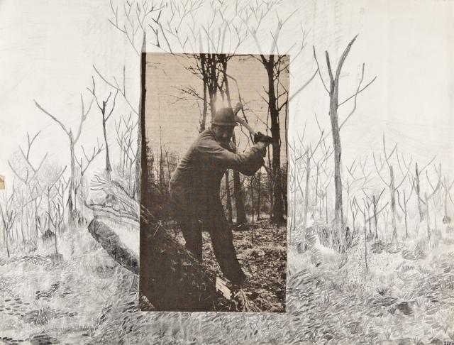 Einbau und Weiterführung eines Fotos