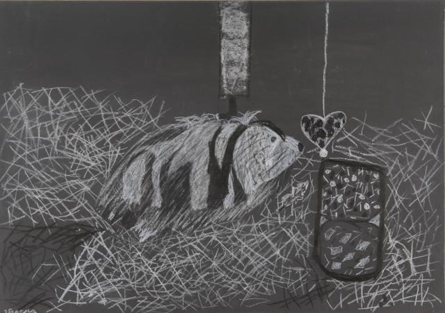 Tier: Meerschweinchen