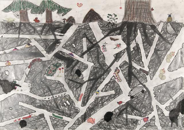 Querschnitt durch einen Waldboden