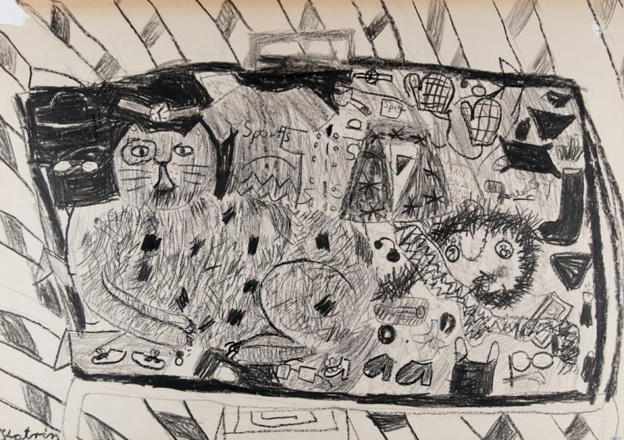 Tier: Die Katze im Koffer