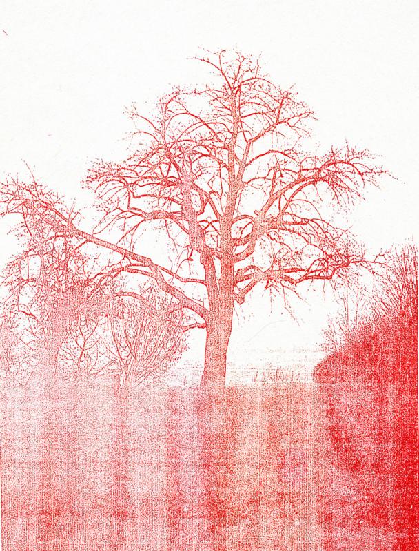 Tübinger Stadtfriedhof