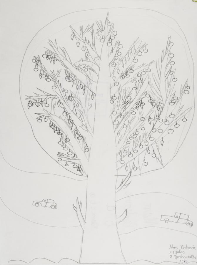 Pflanzliches: Baumtest nach Koch