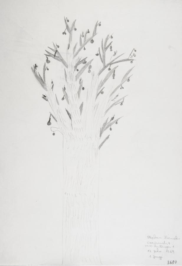 Pflanzliches: Baumtest nach Koch