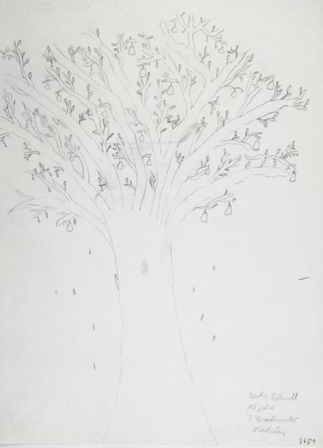 Pflanzliches: Baumtest nach Koch