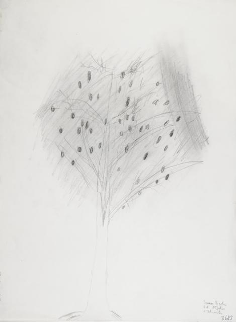 Pflanzliches: Baumtest nach Koch