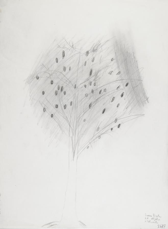 Pflanzliches: Baumtest nach Koch