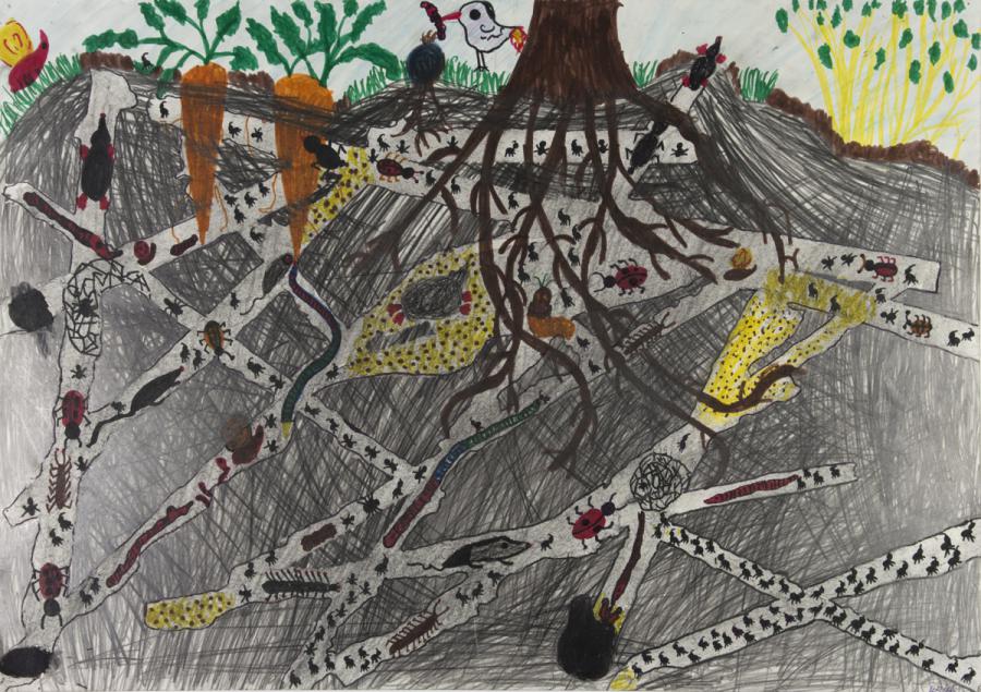 Wegenetz im Erdboden