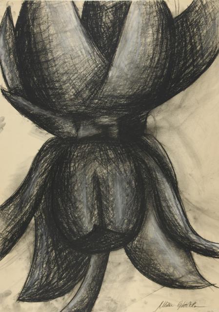 Pflanzen: Pflanzliches - Vergrößerung