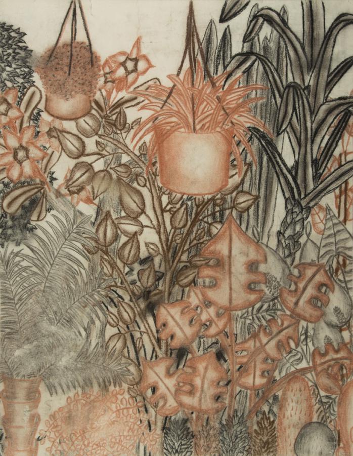 Pflanzen: Im Gewächshaus