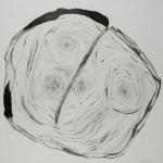 Pflanzliches: Jahresringe