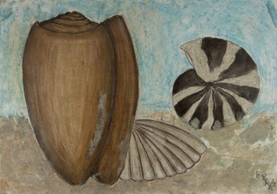 Stillleben: Muscheln