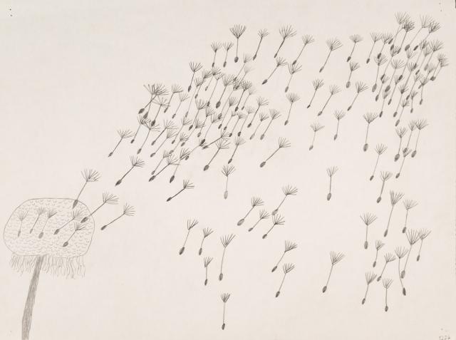 Pflanzliches: Löwenzahn