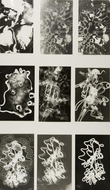 Fotogramm: Materialqualität durchsichtig - undurchsichtig