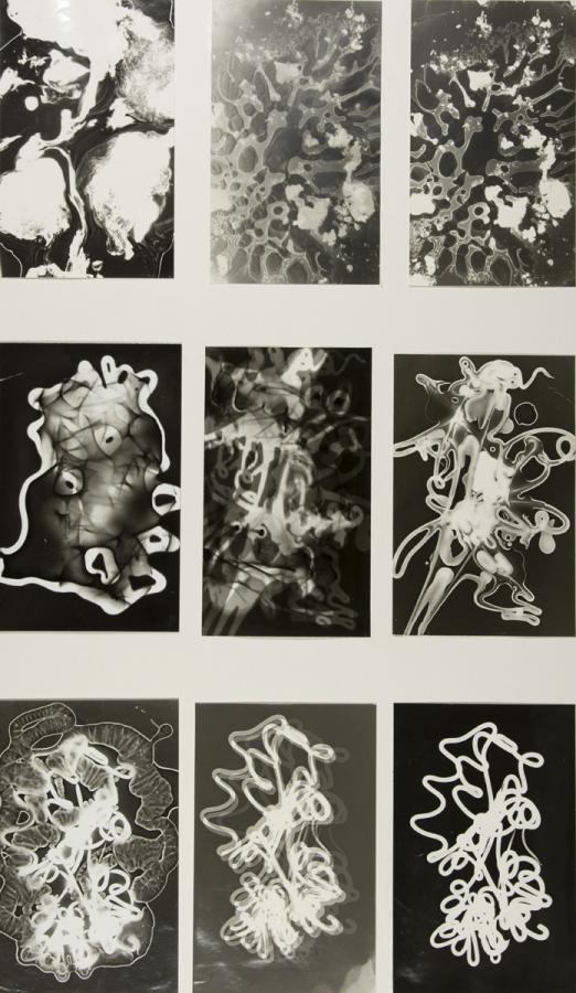 Fotogramm: Materialqualität durchsichtig - undurchsichtig