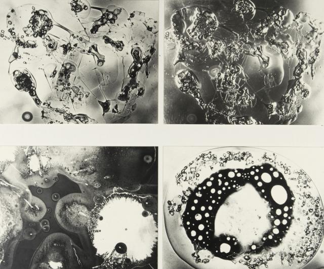 Fotogramm: Materialqualität durchsichtig - undurchsichtig