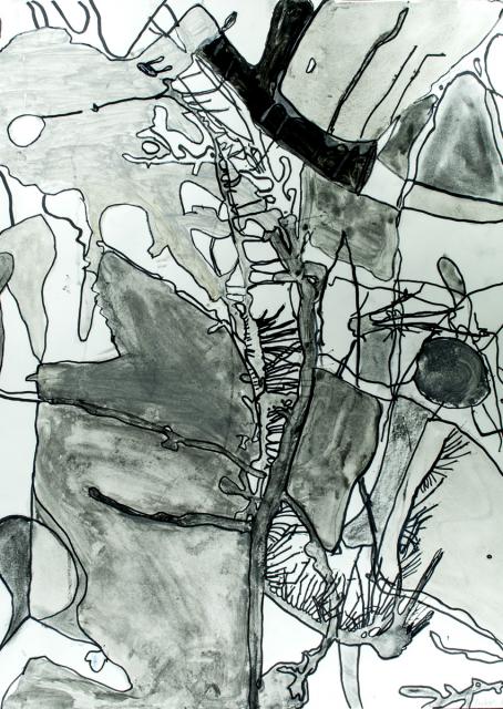 Schattenzeichnung: Pflanzen