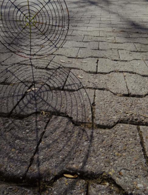 Ungewohnte Perspektiven