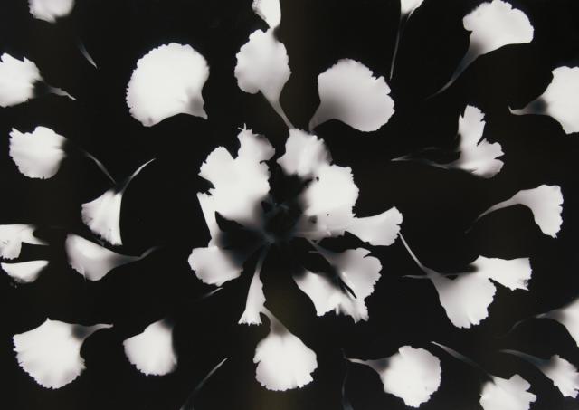 Bedeutung der Bedeutungslosigkeit