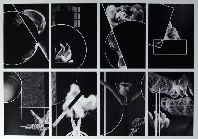 Geometrie und Florales