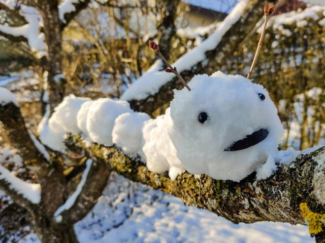 Schneetiere - Raupe