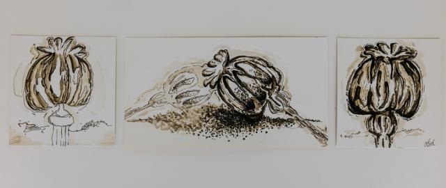 Schönheit der Vergänglichkeit