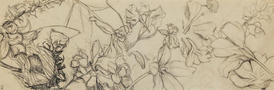 Schönheit der Vergänglichkeit