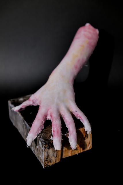 manu et pede - mit Hand und Fuß