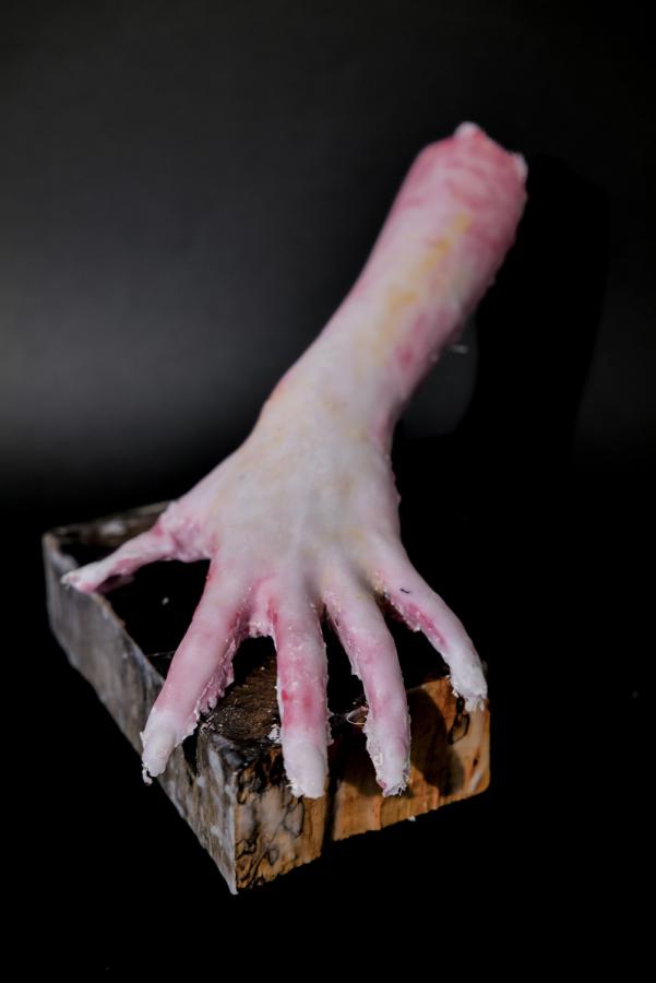 manu et pede - mit Hand und Fuß