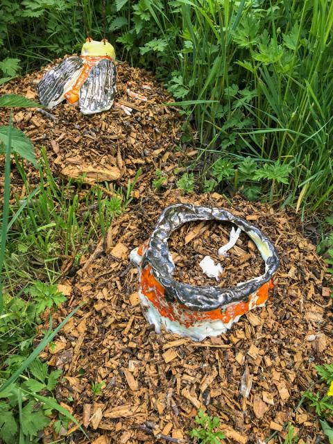 Neues krabbelt aus der Erde