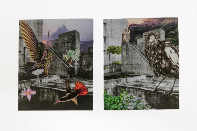 Natur erobert die Stadt