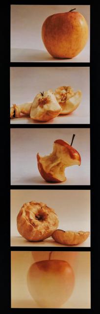 Der Apfel und die fünf Sinne