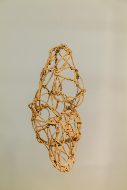 Metamorphose - Kokon in sämtlichen Stadien