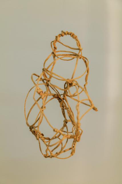 Metamorphose - Kokon in sämtlichen Stadien