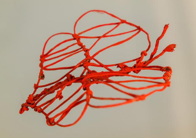 Metamorphose - Kokon in sämtlichen Stadien