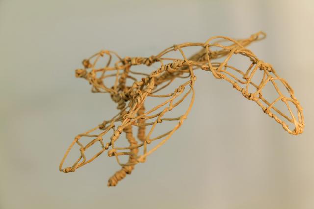 Metamorphose - Kokon in sämtlichen Stadien