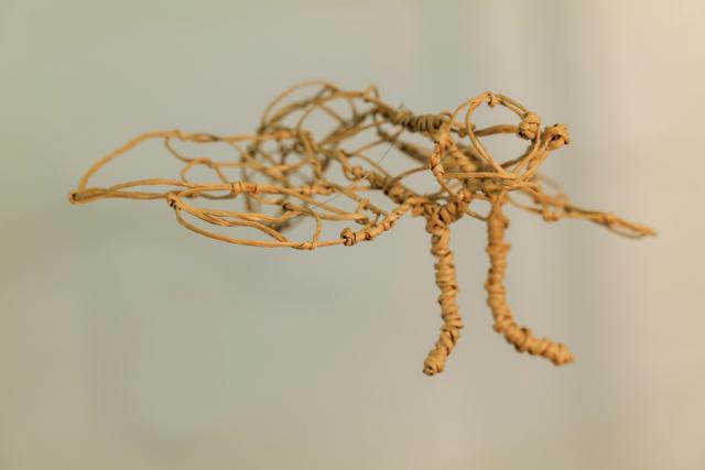 Metamorphose - Kokon in sämtlichen Stadien