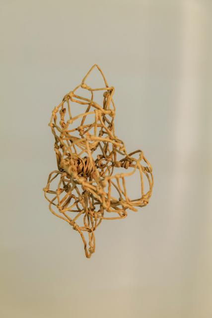 Metamorphose - Kokon in sämtlichen Stadien