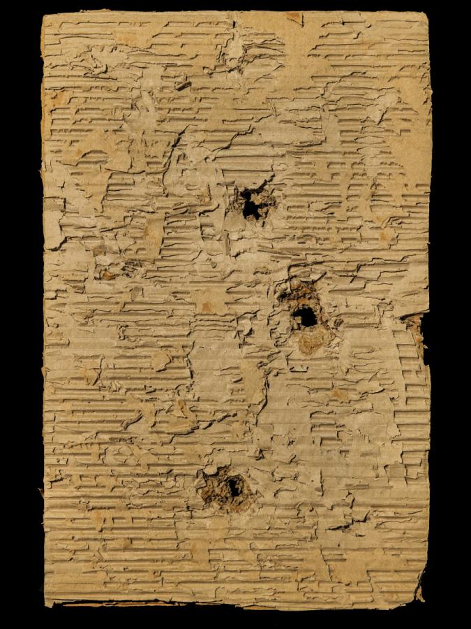 Höhlen auf der Schwäbischen Alb