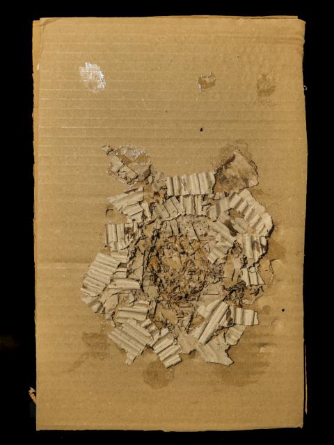 Höhlen auf der Schwäbischen Alb