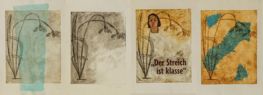 Schneeglöckchen im Wandel