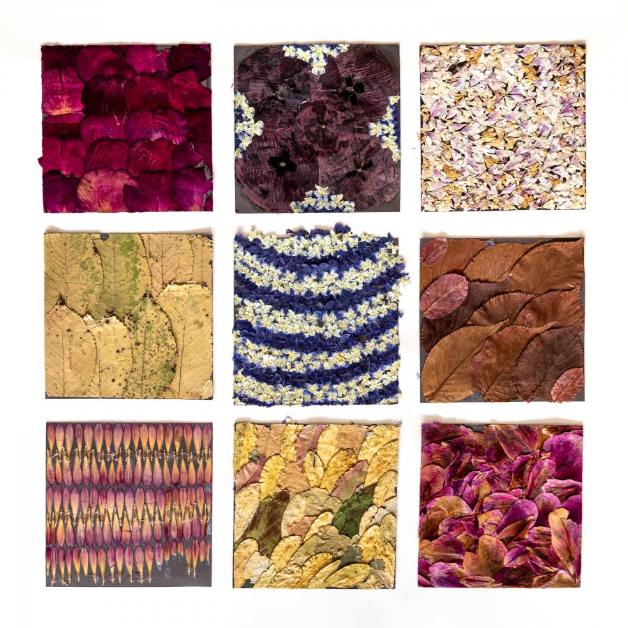 Blüten im Jahreslauf