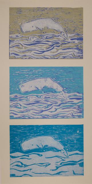 Ein Tier viele Farben