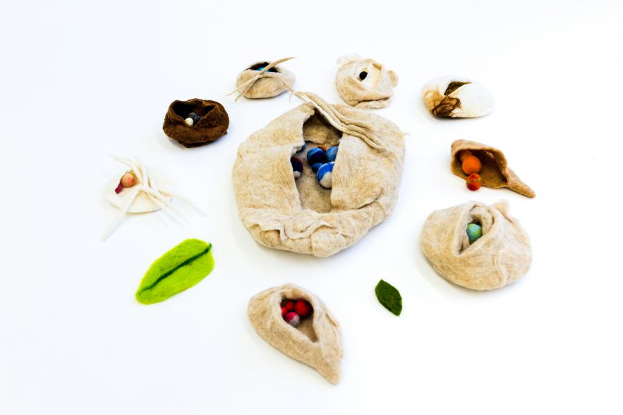 Schöpferkraft - Welche Samen wollen wir säen?