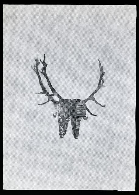 Textil-Hirschgeweih