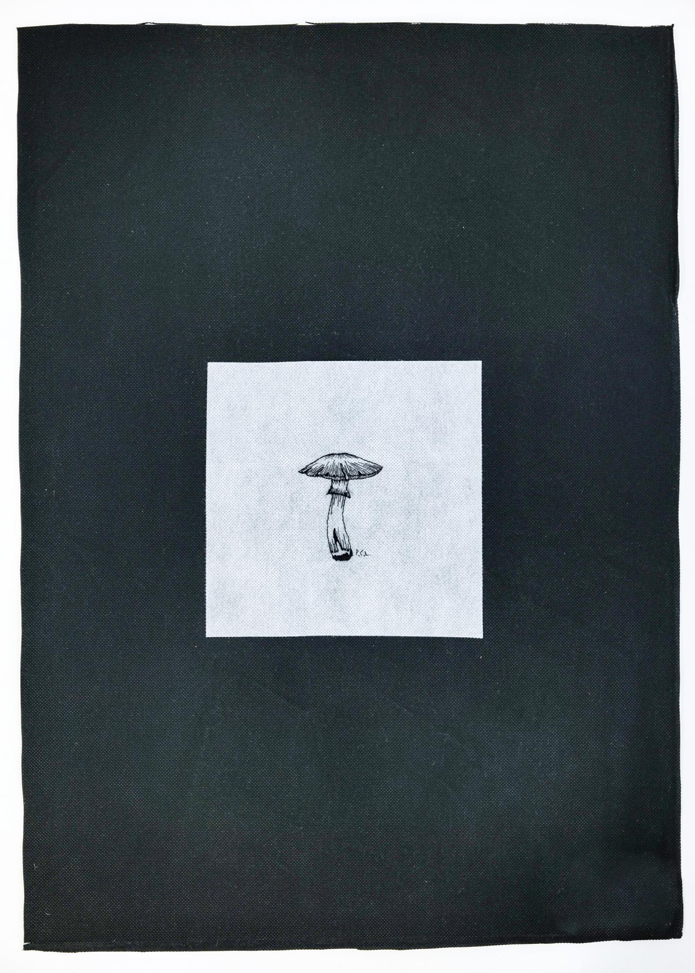 Textil-Pilz