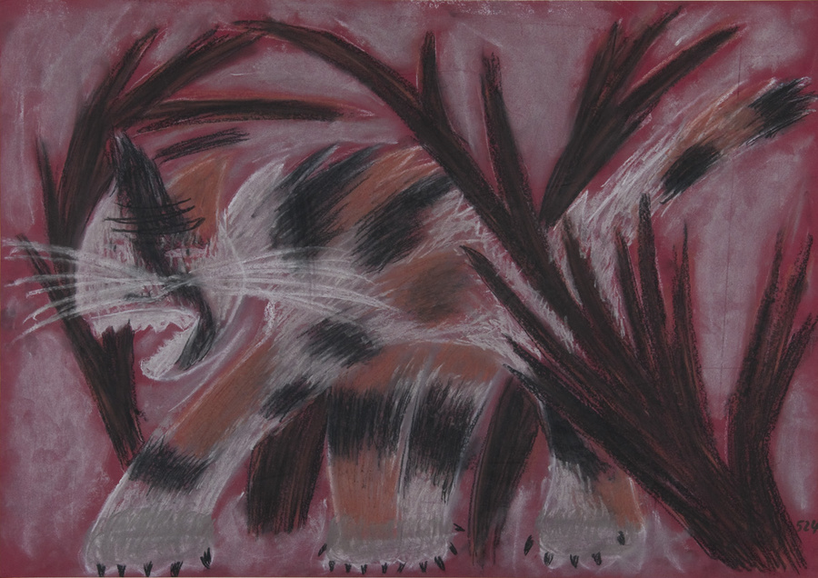 Tier: Katze auf der Pirsch